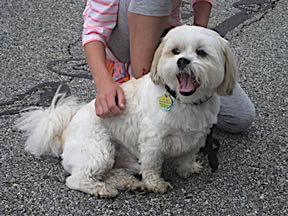 walking with Rocco